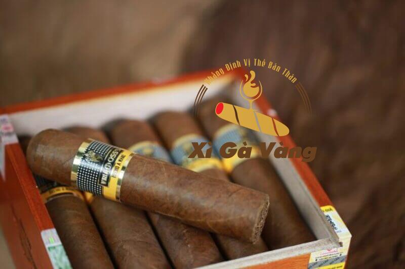 Xì Gà Vàng cung cấp Vinaboss Robusto Supremo chất lượng